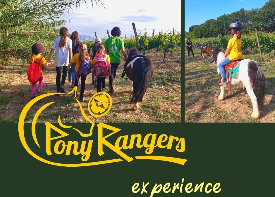 1°Pony Rangers Experience